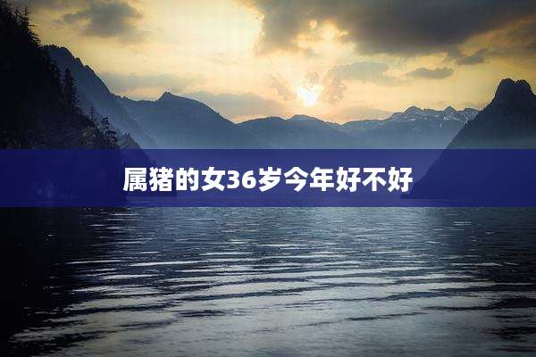 属猪的女36岁今年好不好