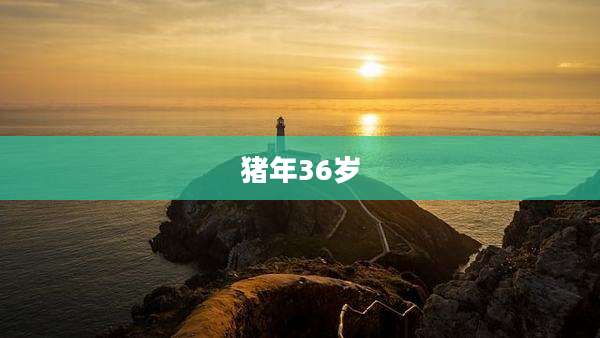 猪年36岁