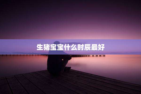 生猪宝宝什么时辰最好