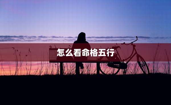 怎么看命格五行