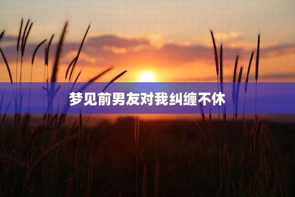 梦见前男友对我纠缠不休