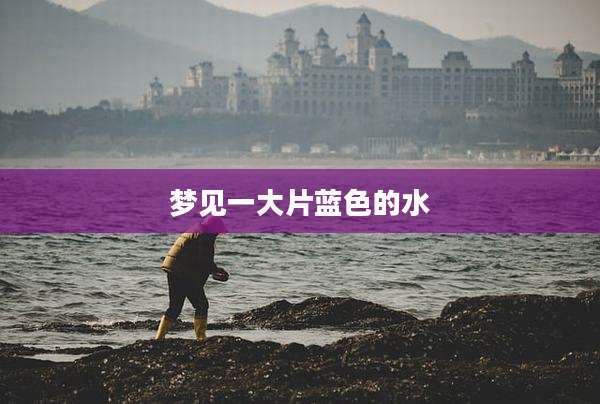 梦见一大片蓝色的水