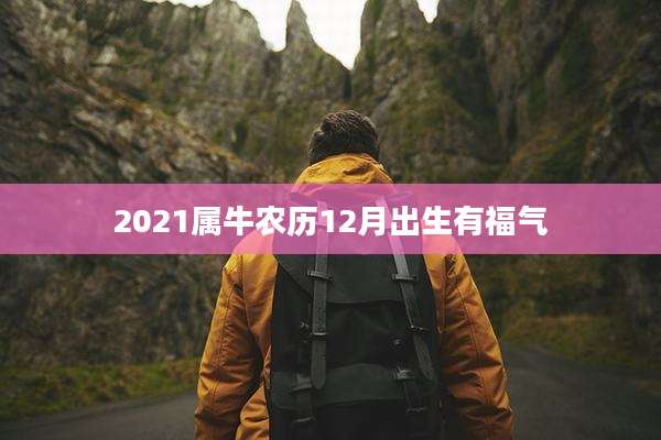 2021属牛农历12月出生有福气
