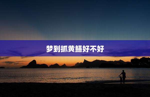 梦到抓黄鳝好不好
