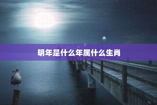 明年是什么年属什么生肖