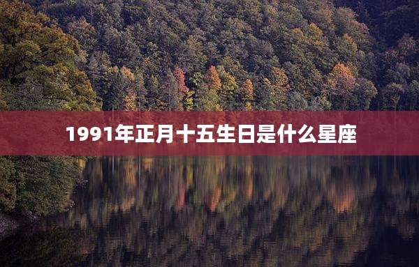 1991年正月十五生日是什么星座