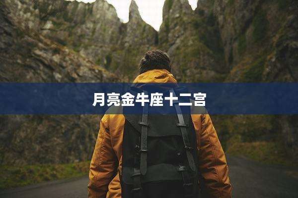月亮金牛座十二宫