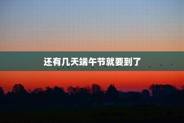还有几天端午节就要到了