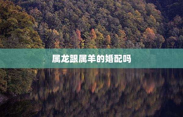 属龙跟属羊的婚配吗