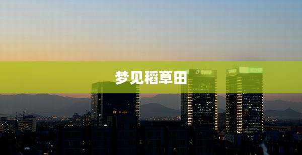梦见稻草田