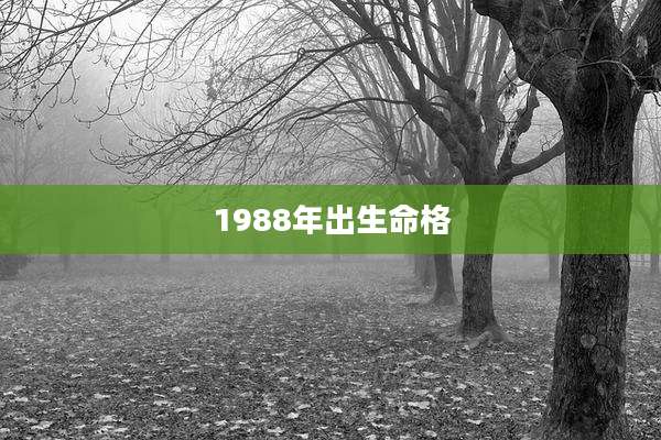 1988年出生命格
