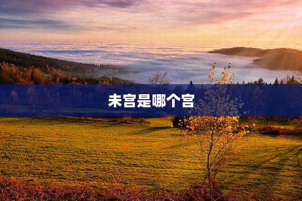 未宫是哪个宫