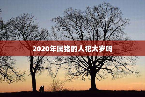 2020年属猪的人犯太岁吗