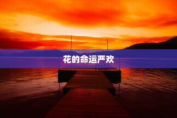 花的命运严欢