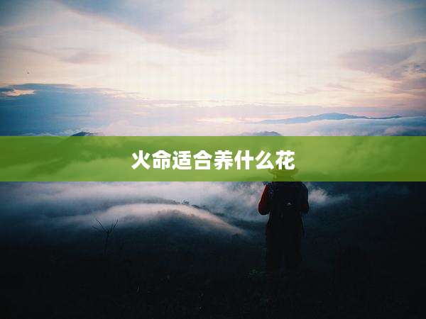 火命适合养什么花