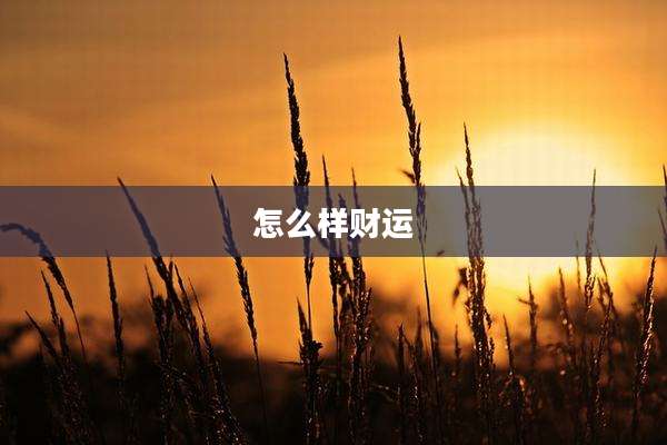 怎么样财运