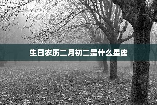 生日农历二月初二是什么星座
