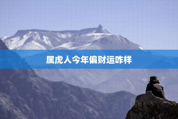 属虎人今年偏财运咋样