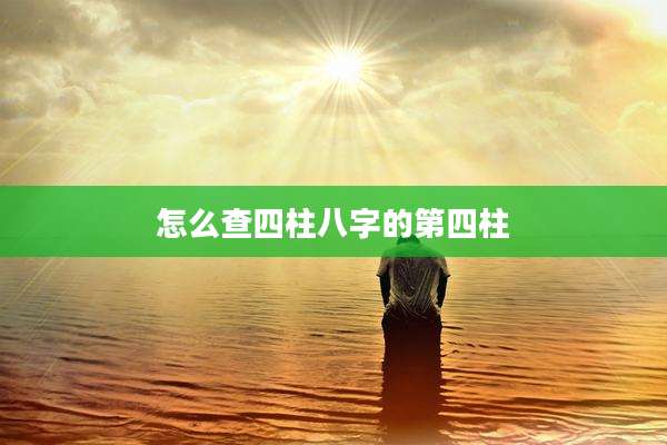 怎么查四柱八字的第四柱