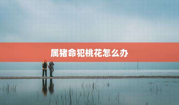 属猪命犯桃花怎么办