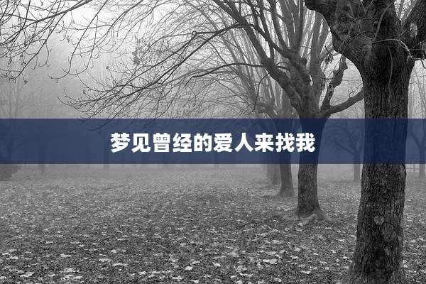 梦见曾经的爱人来找我