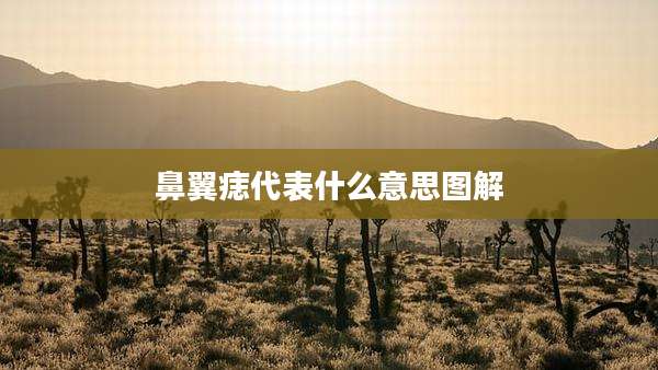 鼻翼痣代表什么意思图解