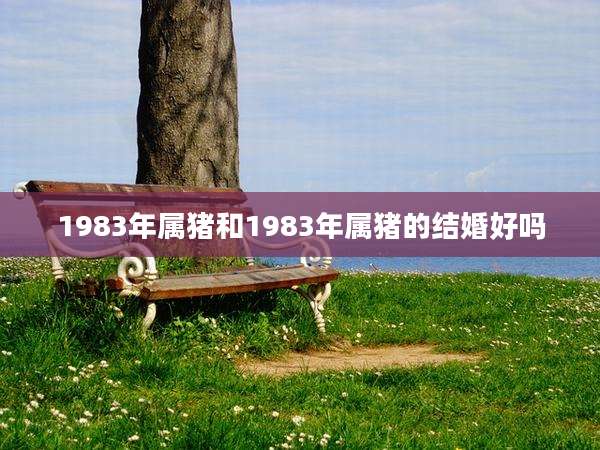 1983年属猪和1983年属猪的结婚好吗