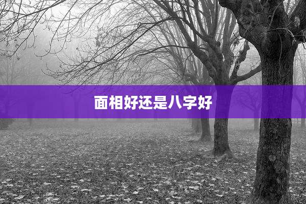 面相好还是八字好