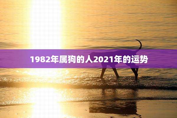1982年属狗的人2021年的运势