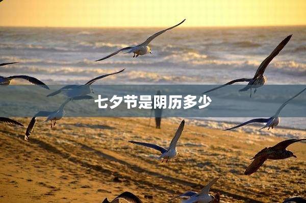 七夕节是阴历多少