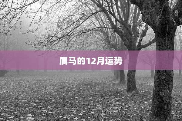 属马的12月运势