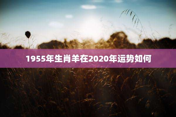 1955年生肖羊在2020年运势如何