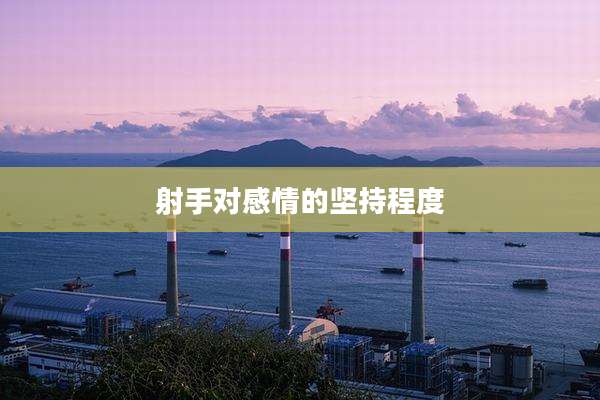 射手对感情的坚持程度