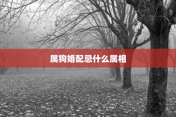 属狗婚配忌什么属相