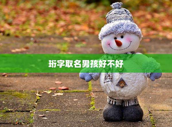 珩字取名男孩好不好