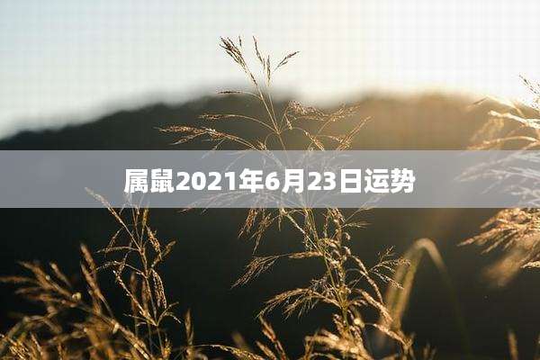 属鼠2021年6月23日运势