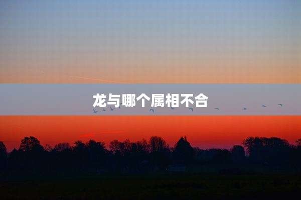 龙与哪个属相不合