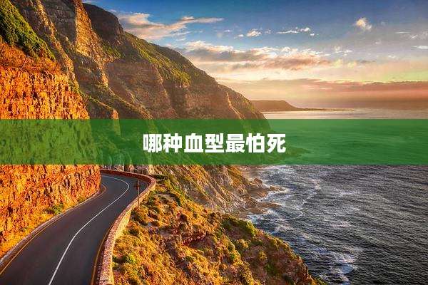 哪种血型最怕死