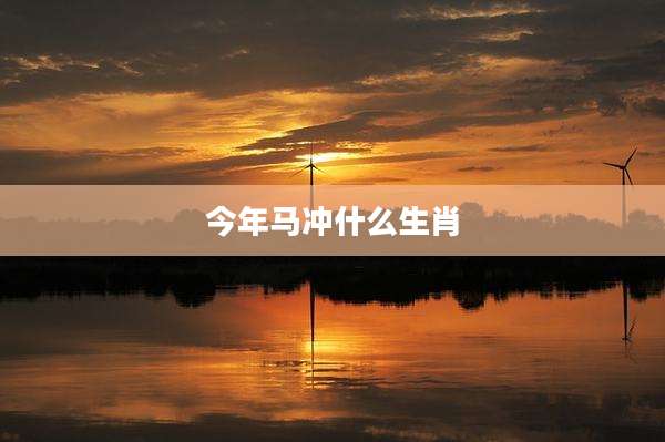 今年马冲什么生肖