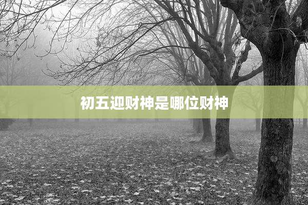 初五迎财神是哪位财神