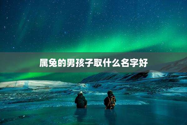 属兔的男孩子取什么名字好