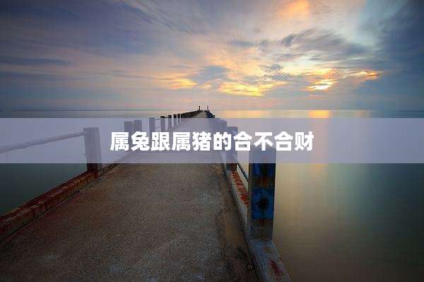 属兔跟属猪的合不合财
