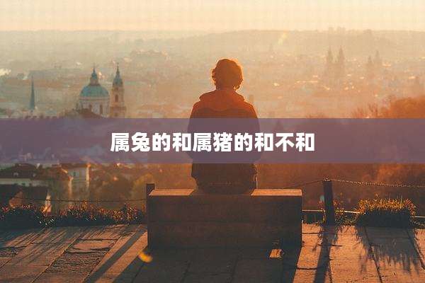 属兔的和属猪的和不和