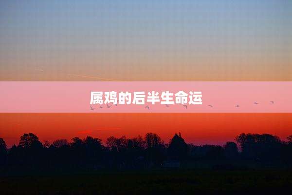属鸡的后半生命运