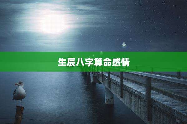 生辰八字算命感情