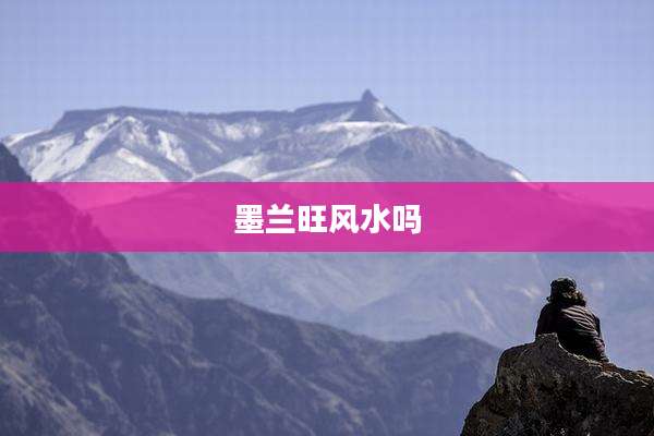 墨兰旺风水吗