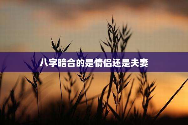 八字暗合的是情侣还是夫妻