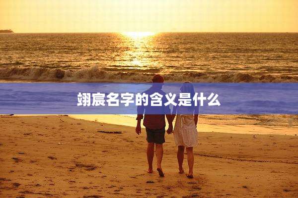 翊宸名字的含义是什么