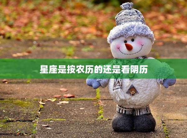 星座是按农历的还是看阴历