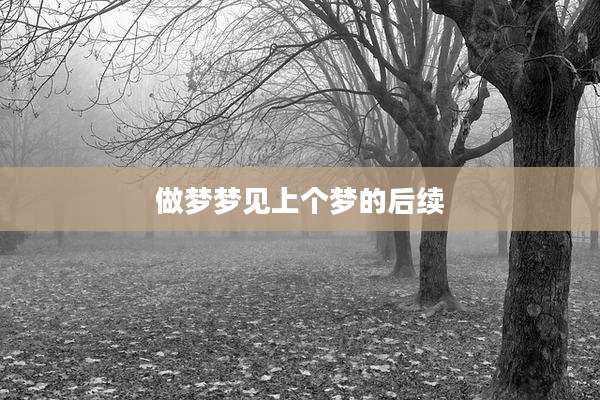 做梦梦见上个梦的后续